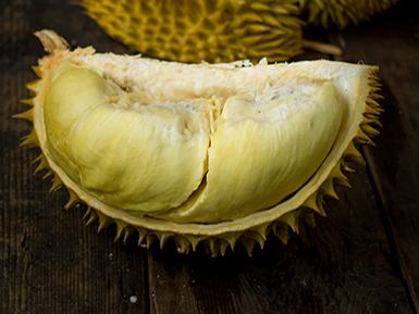 爱游戏登录入口地址基地展示二